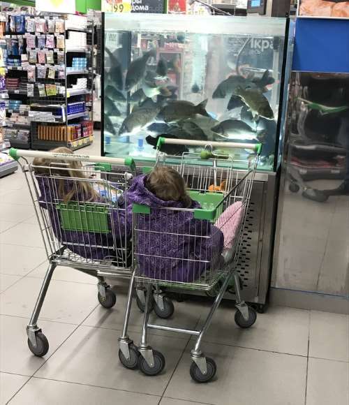 When kids do not like shopping
