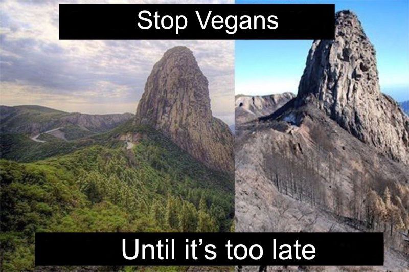 Stop vegans until it’s too late