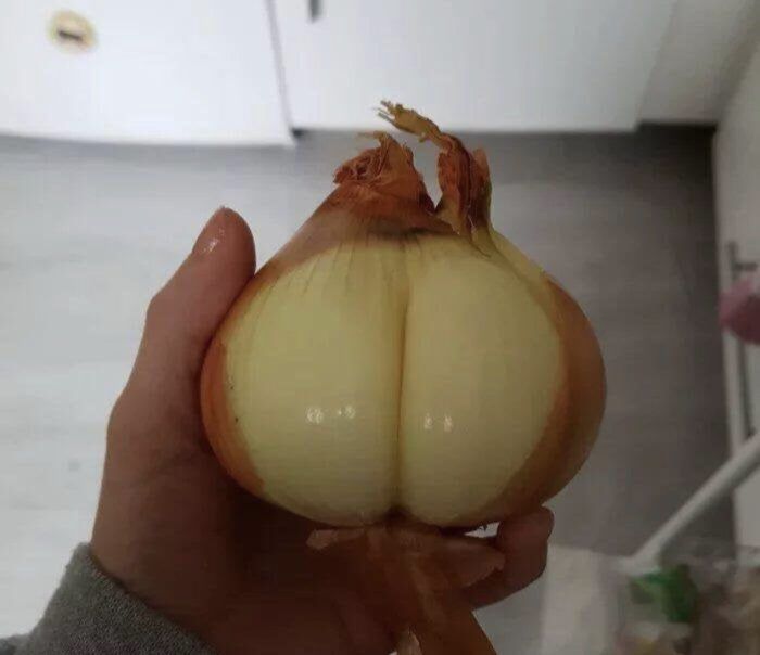 Sexy onions