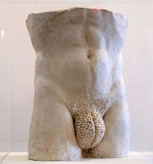 Man's brain