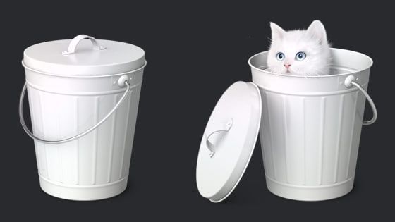 &gt; which cat