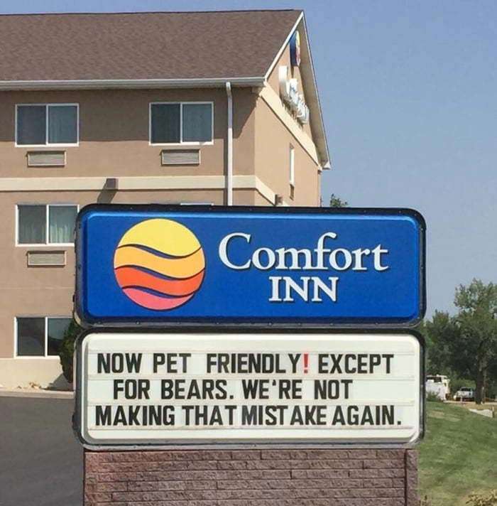 Pet friendly hotel