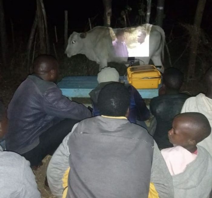 TV Screen in Africa