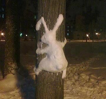 Snow rabbit}}