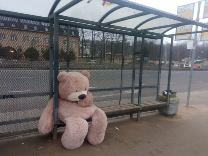 The most dangerous Russian Bear