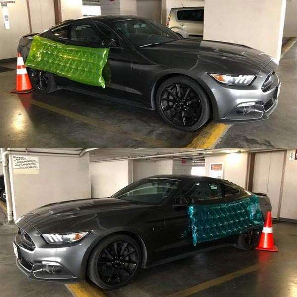 How to keep Mustang safe