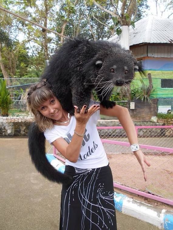 Binturong