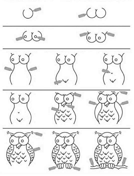 How t draw an owl