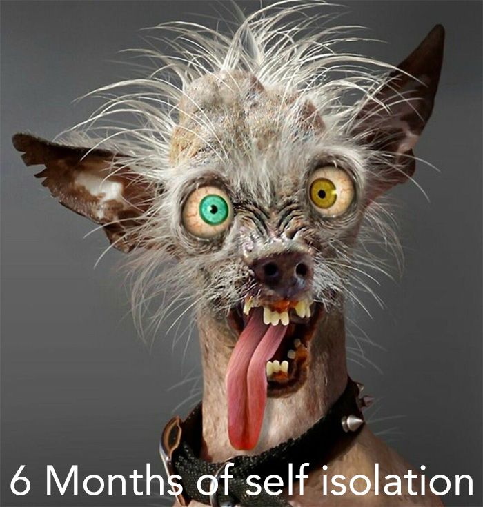 6 Months of self-isolation