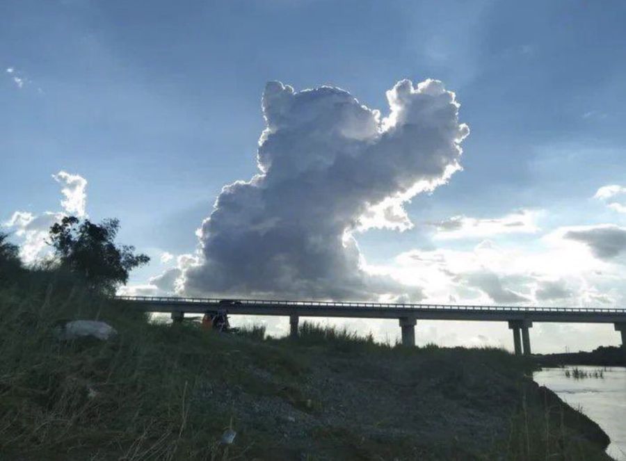 Cloud Cat
