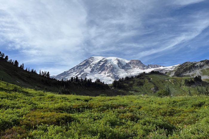 Mount Rainier National Park