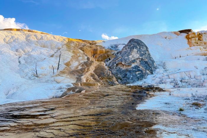 Yellowstone National Park